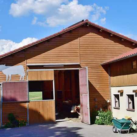 Ferienwohnung Burgerhof Pullenreuth Exterior foto